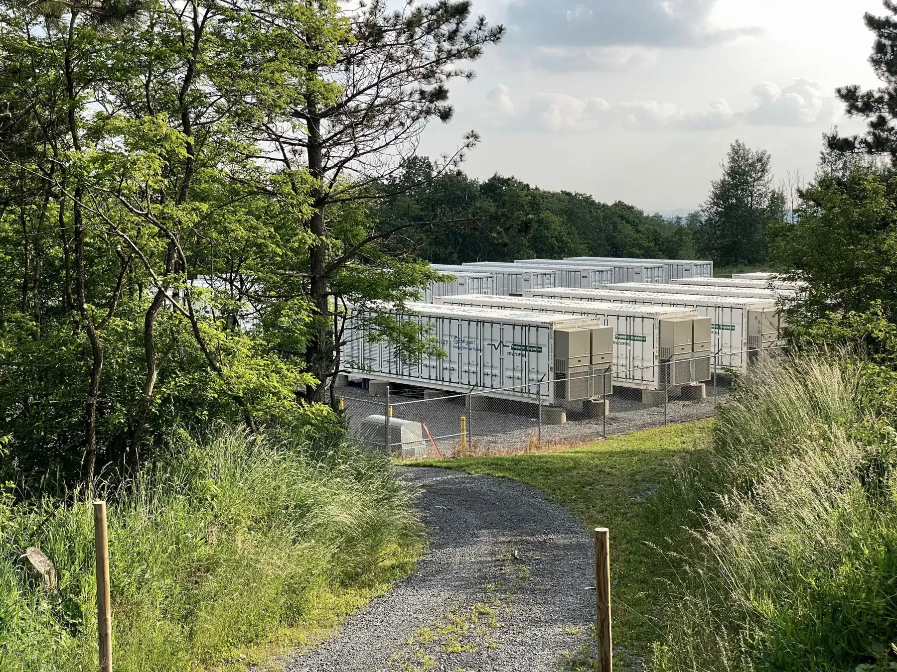 Containerised battery energy storage system surrounded by greenery